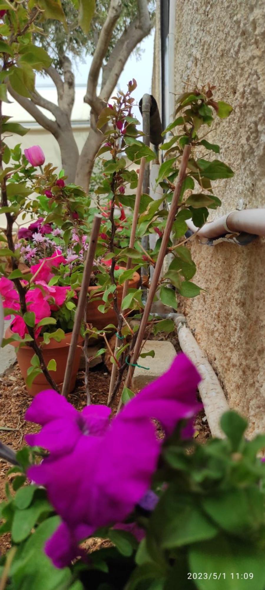 Secret Garden Home Lagonissi Attiki Melissourgoú Екстериор снимка