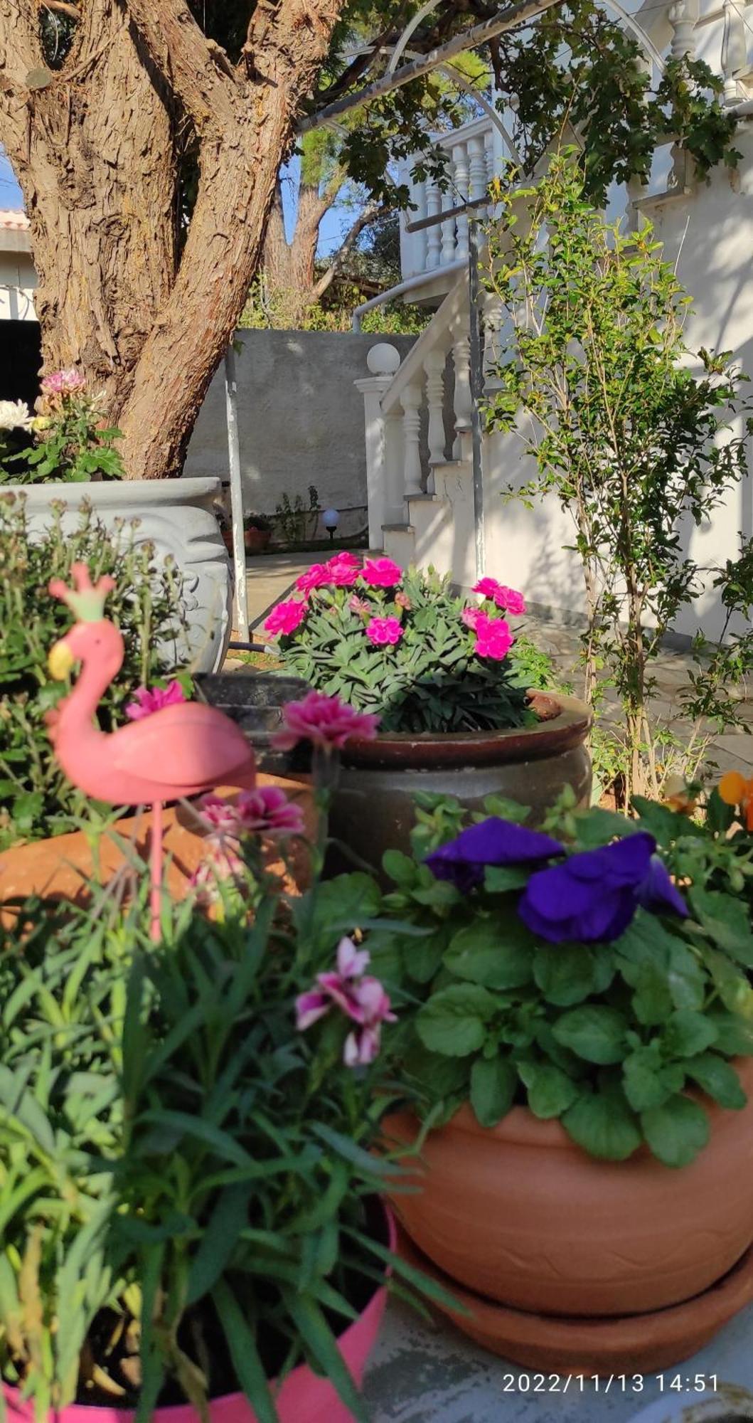 Secret Garden Home Lagonissi Attiki Melissourgoú Екстериор снимка