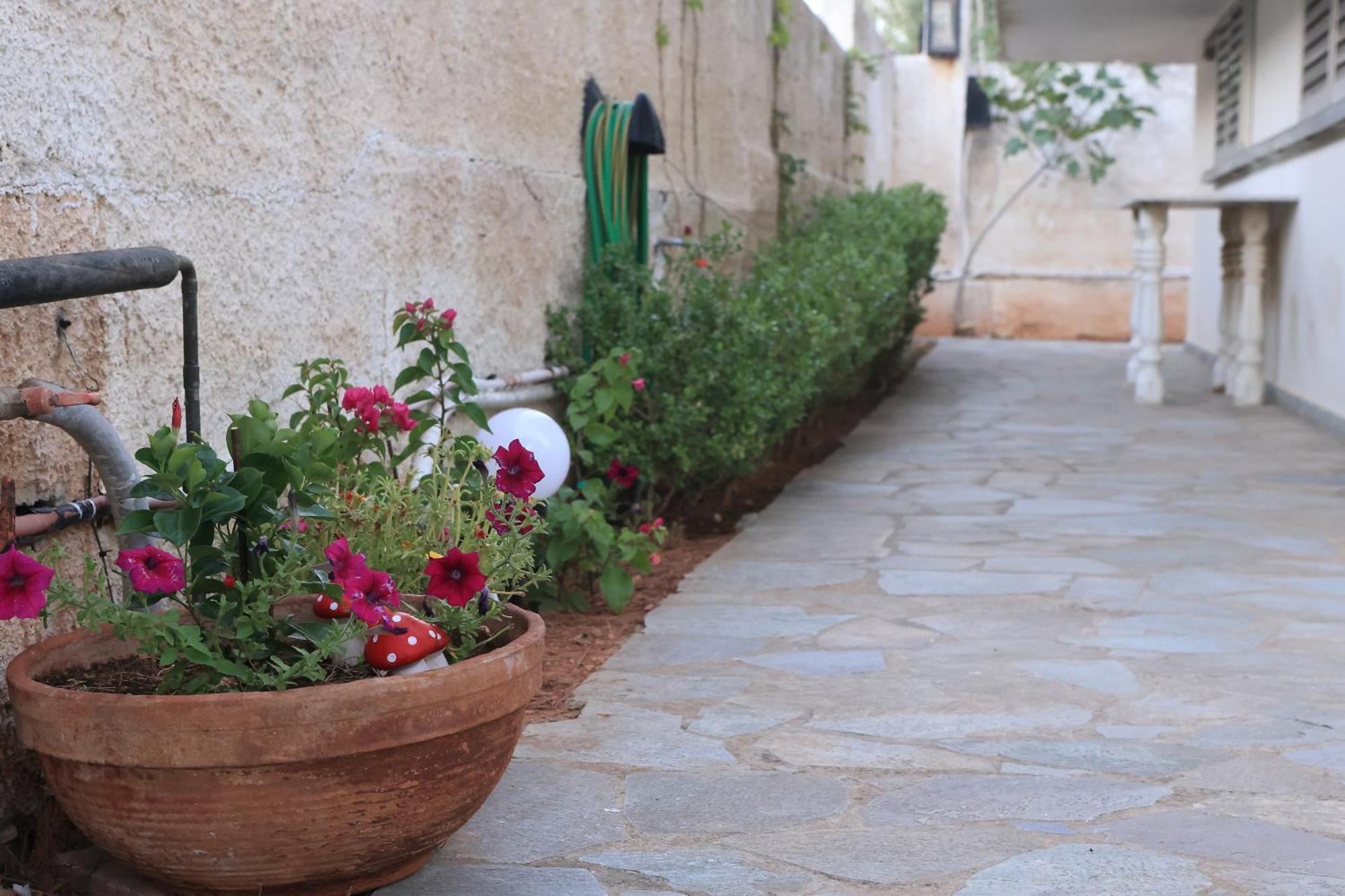 Secret Garden Home Lagonissi Attiki Melissourgoú Екстериор снимка