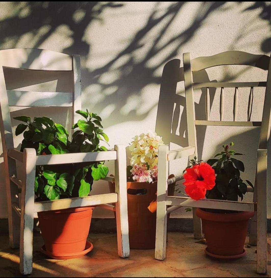 Secret Garden Home Lagonissi Attiki Melissourgoú Екстериор снимка